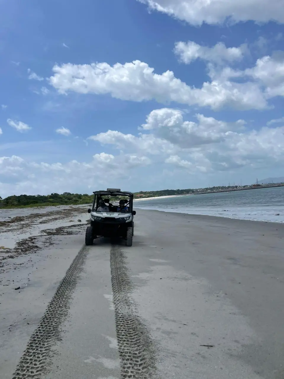 Tour de mulitas en la playa